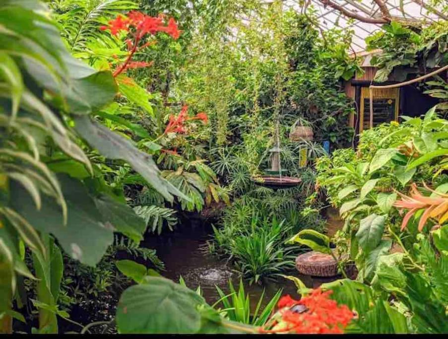 Hidden Gem !Stunning 3 Bedroom Home In Sheffield Handsworth ภายนอก รูปภาพ