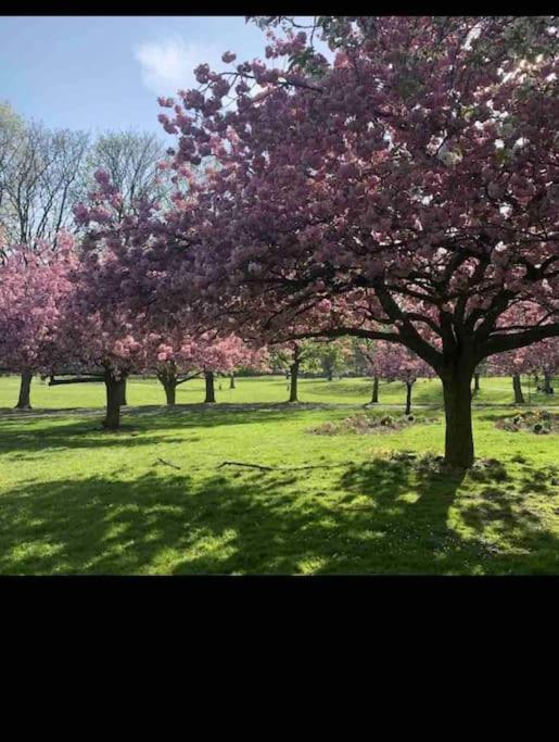 Hidden Gem !Stunning 3 Bedroom Home In Sheffield Handsworth ภายนอก รูปภาพ